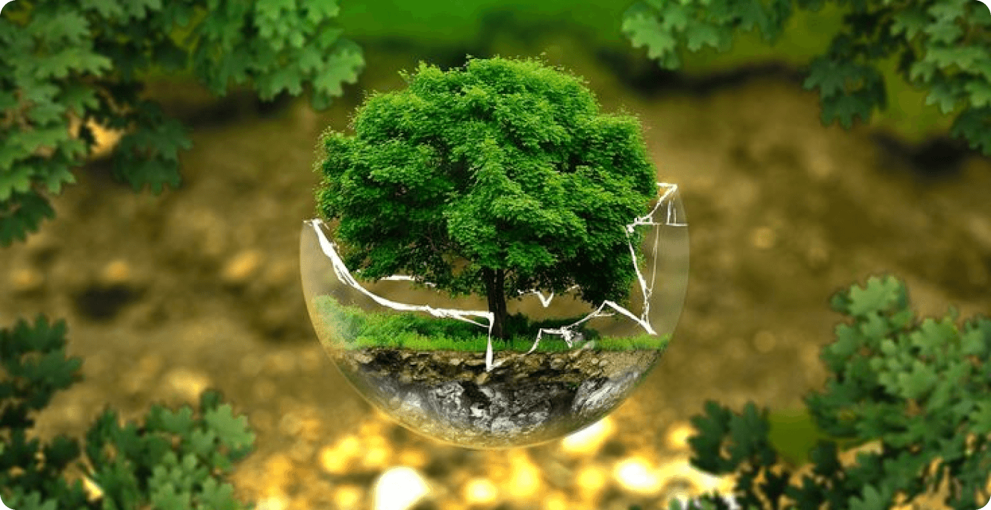 Empowering Climate Resilience in Gilgit Baltistan